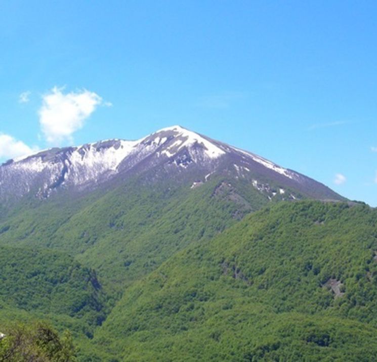 Parco del  Pollino